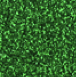 vert-paillette vert-paillette