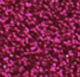 framboise-paillette framboise-paillette